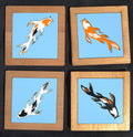 Koi Fish