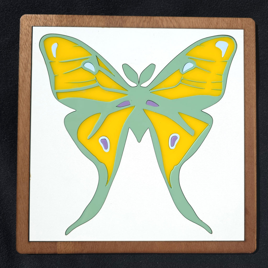 Luna Moth