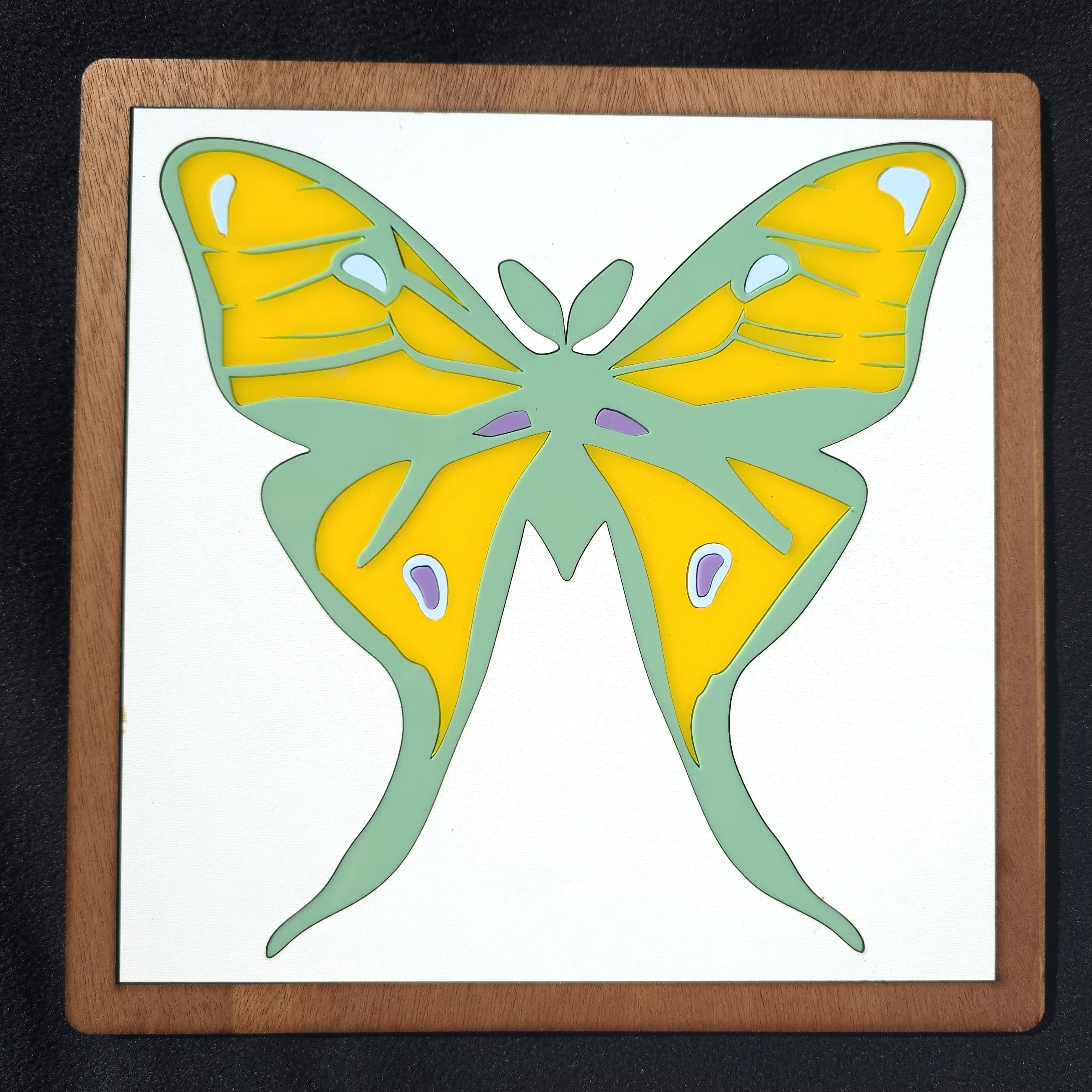 Luna Moth
